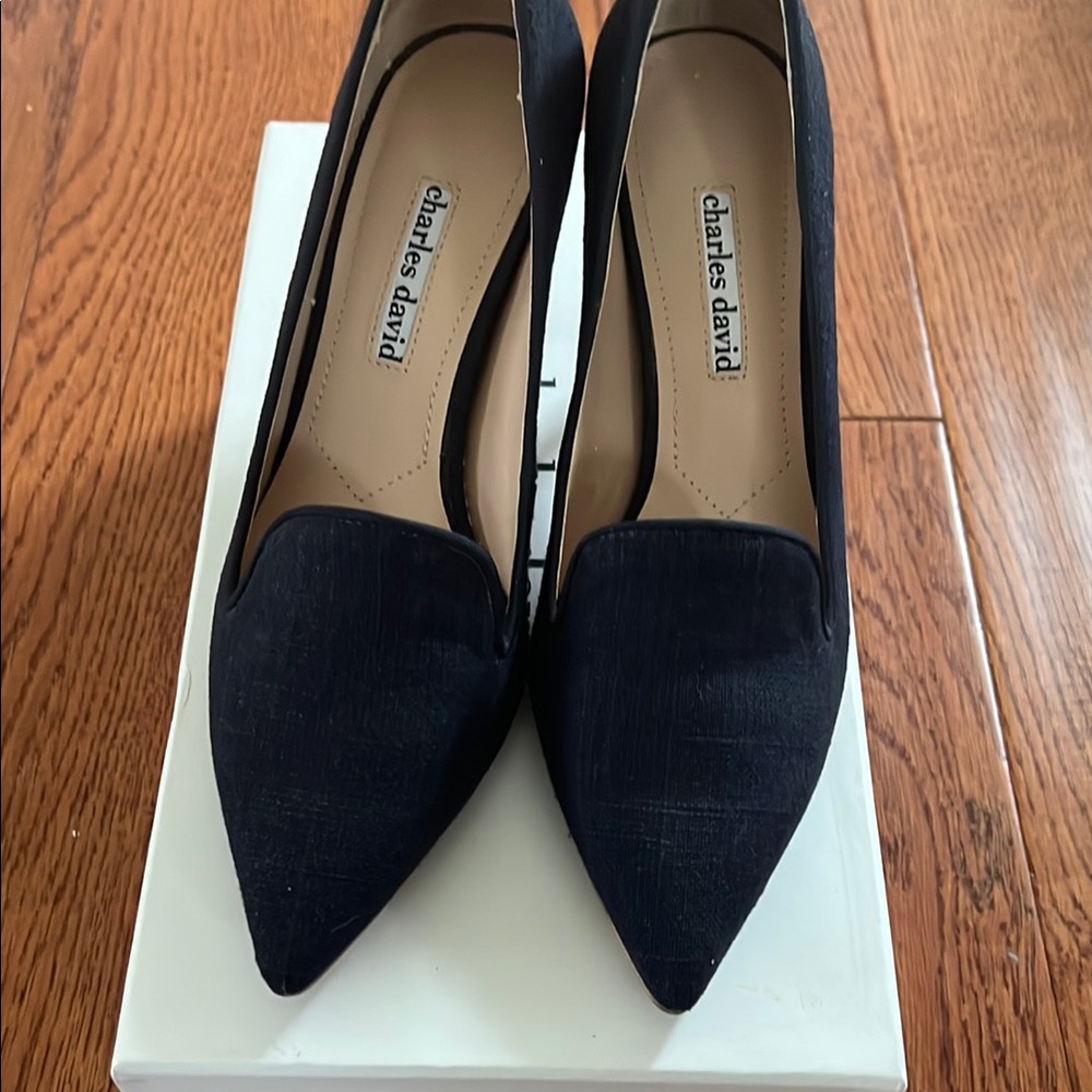 Charles David Amari Blue Pointed-Toe Heels